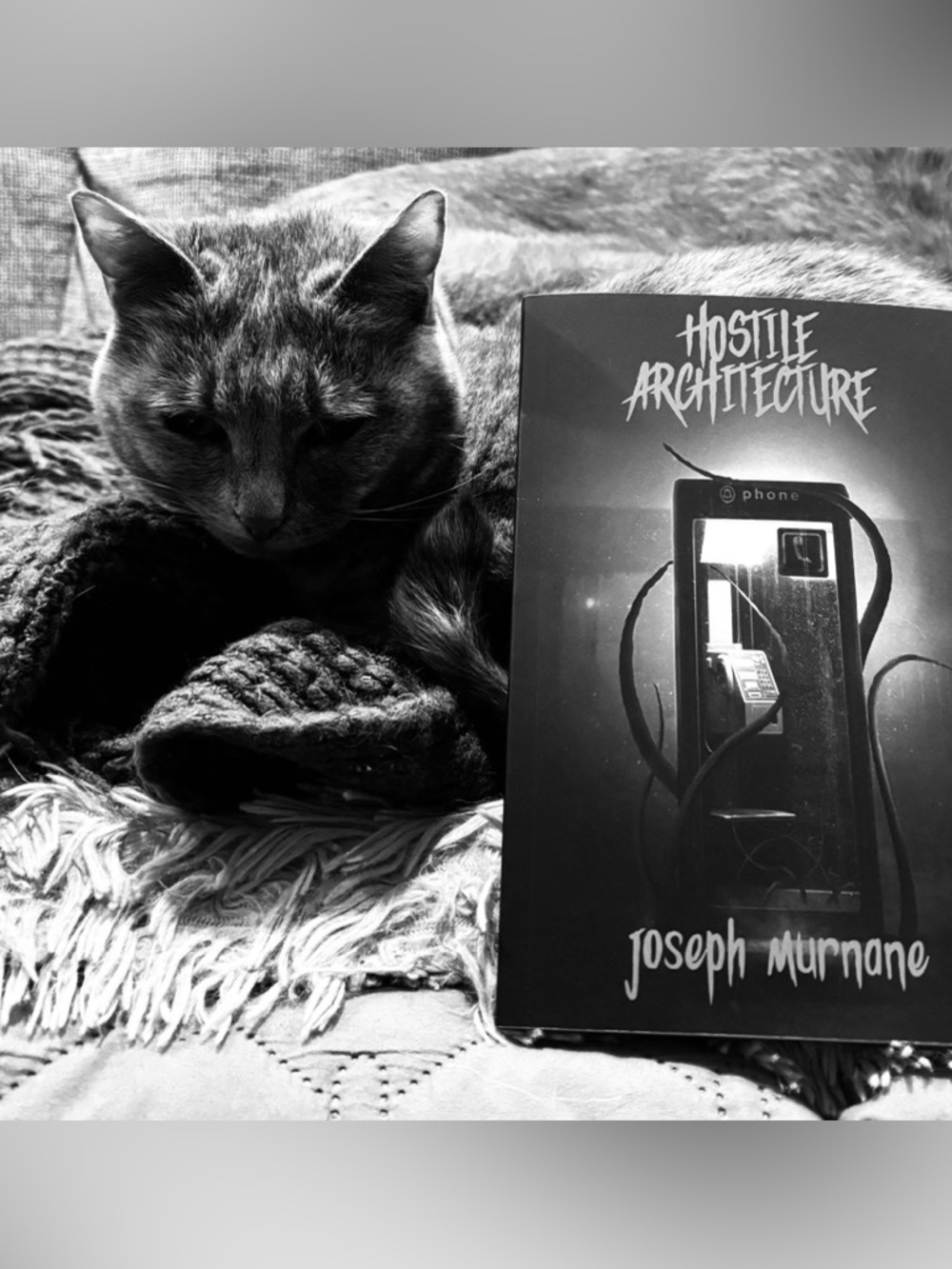 Signed! ✨ Hostile Architecture by Joseph Murnane, Paperback - Picture 2 of 2